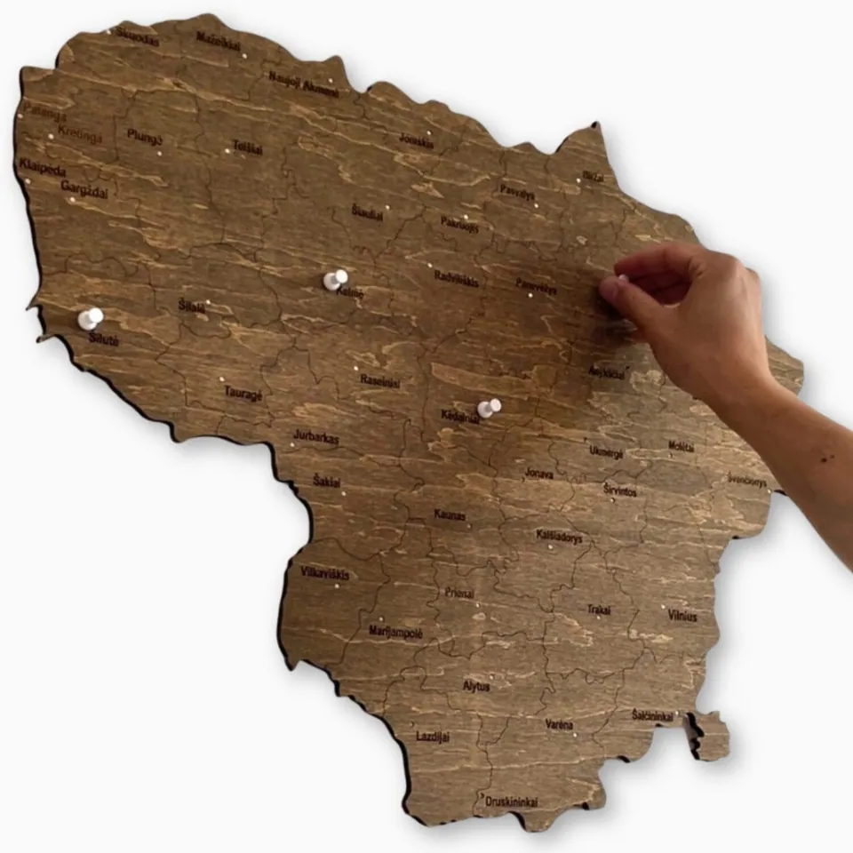 Carte de Lituanie en bois avec des épingles plantées